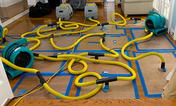 Professional Basement Flood Cleanup technician working in Kanosh, UT